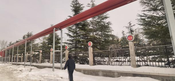 多措并举 守护雪中、雪后清静 - 公司新闻 - 九洲国际