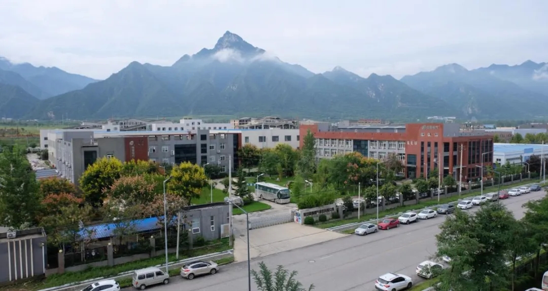 红五月,888集团游戏官网逆流而上,逆势上扬(图4)
